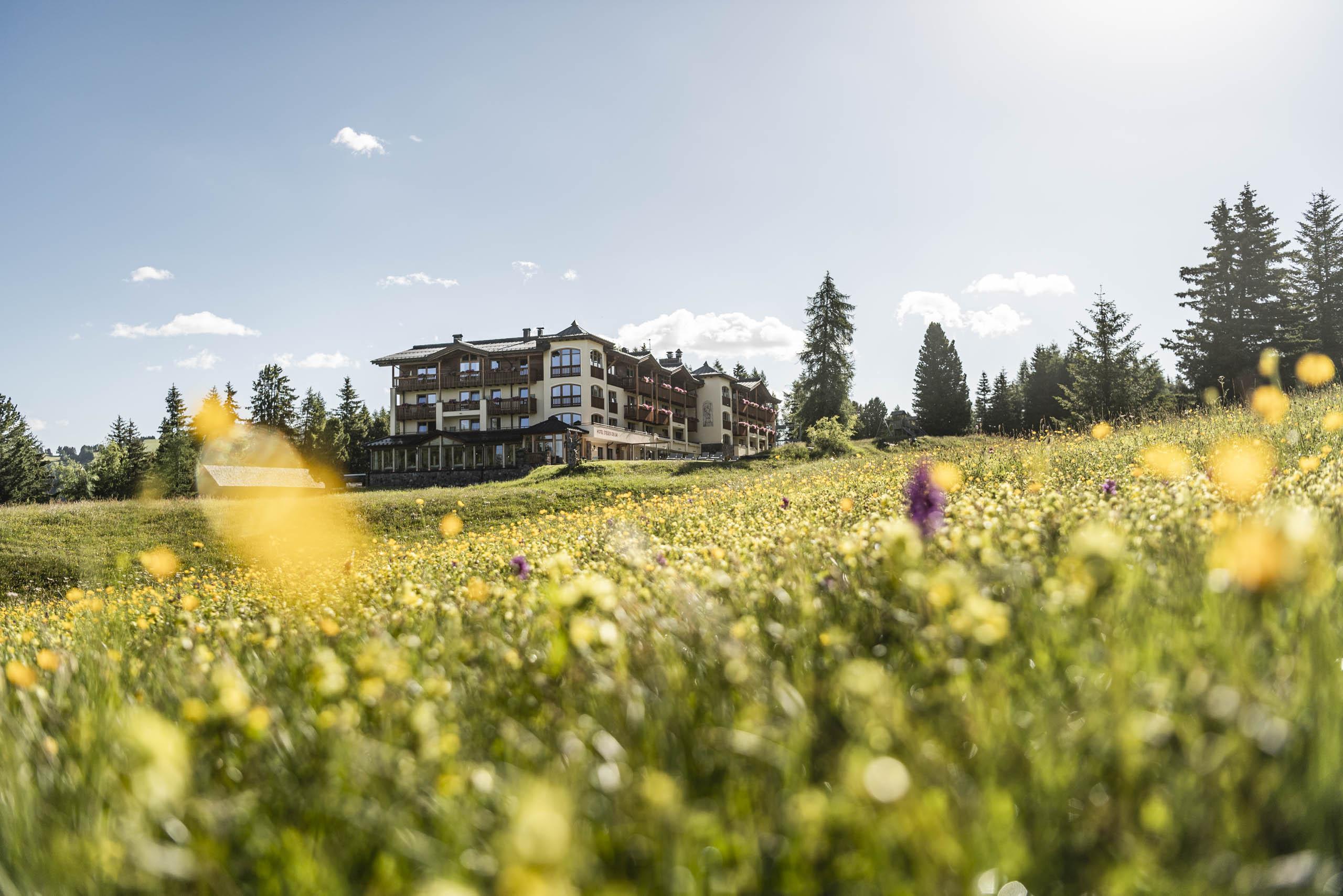 Hotel Steger-Dellai Alpe Di Siusi Exterior foto